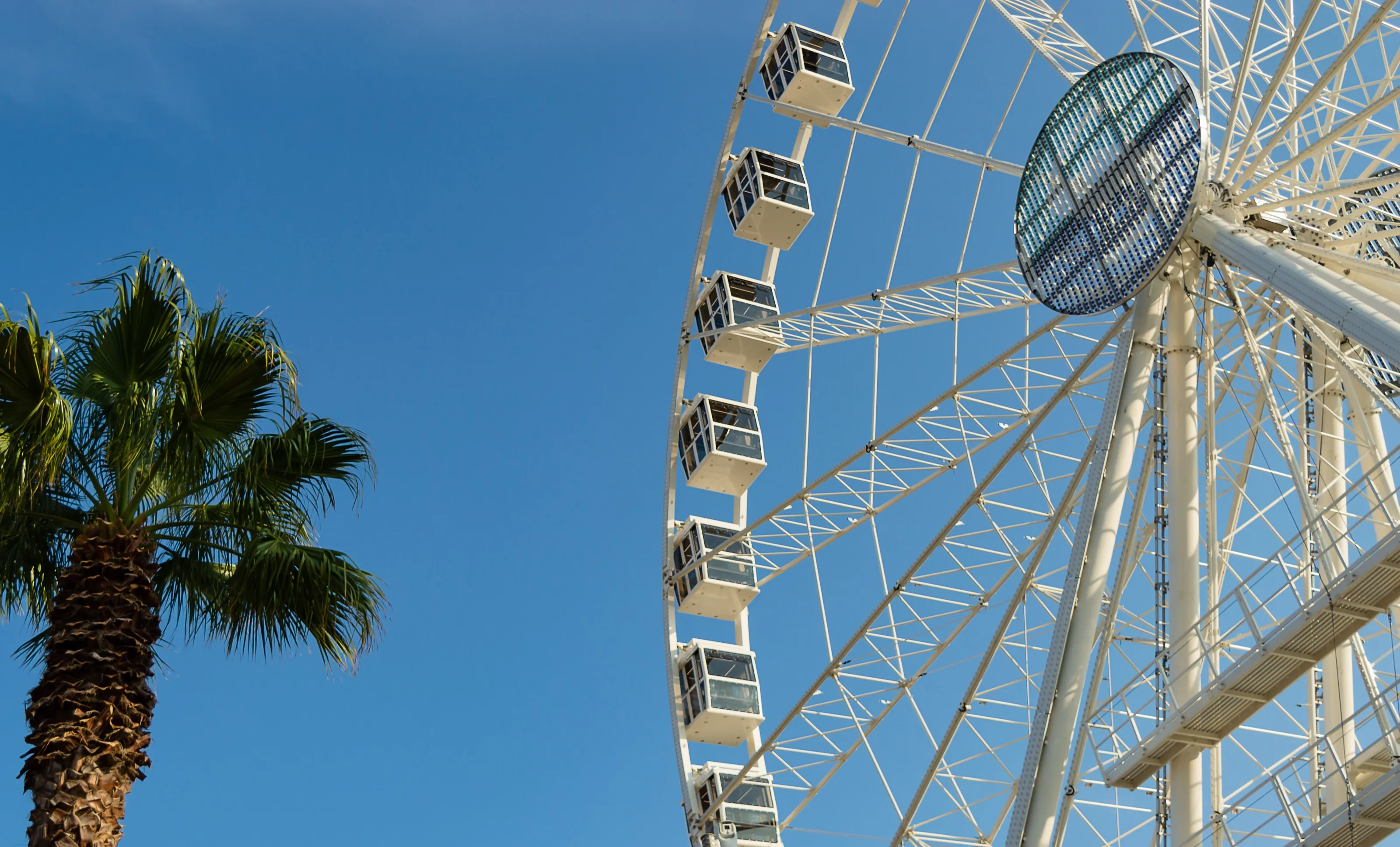 A white ferris wheel and palm trees against a clear blue California sky