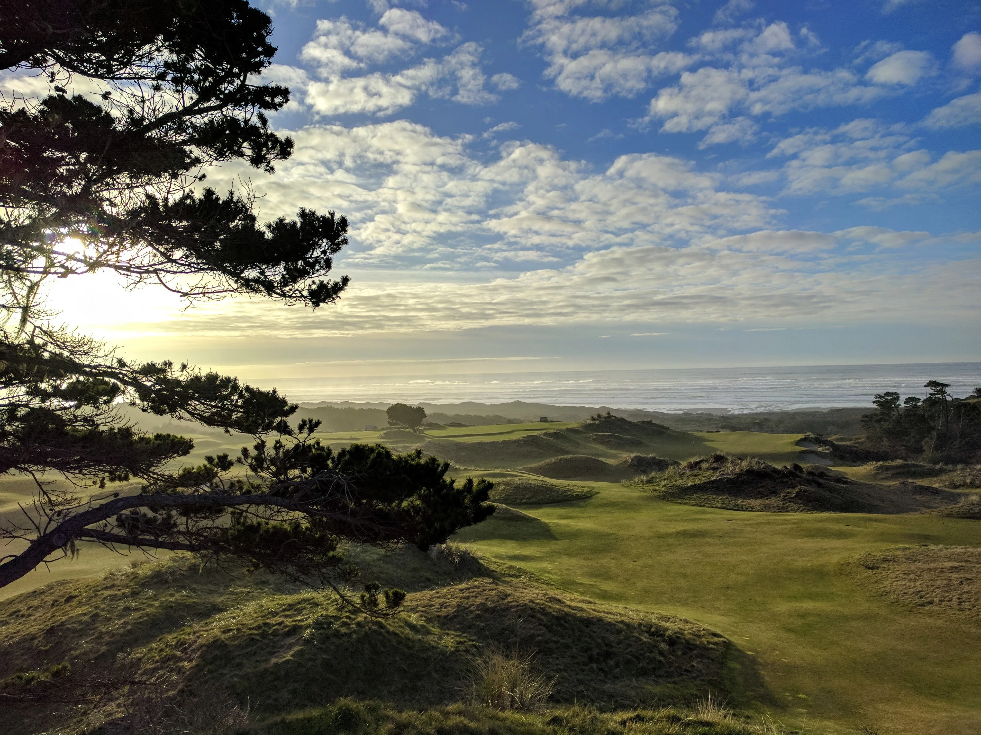 A links green above the ocean on the Oregon coast