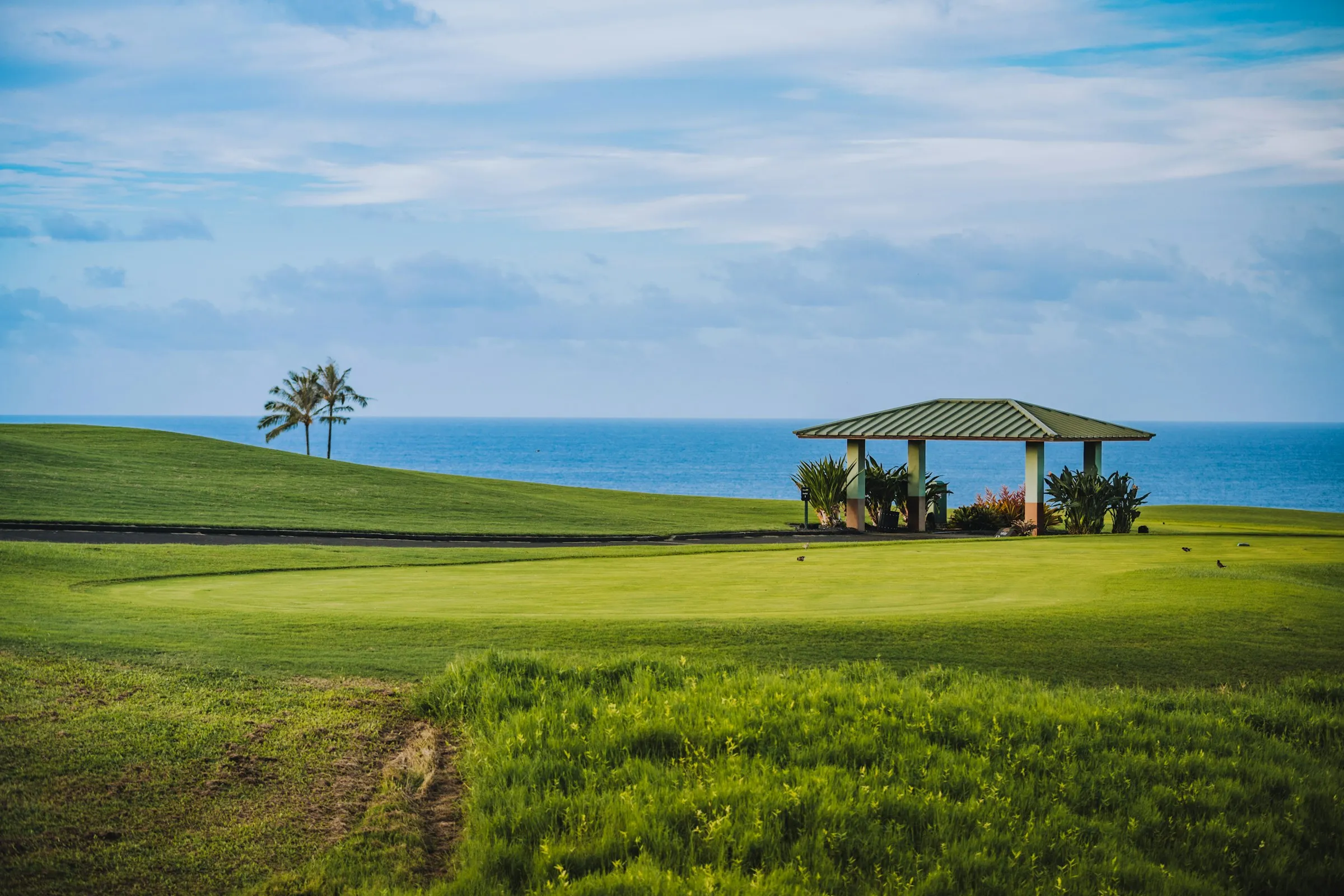 Palms and a fairway running to the ocean