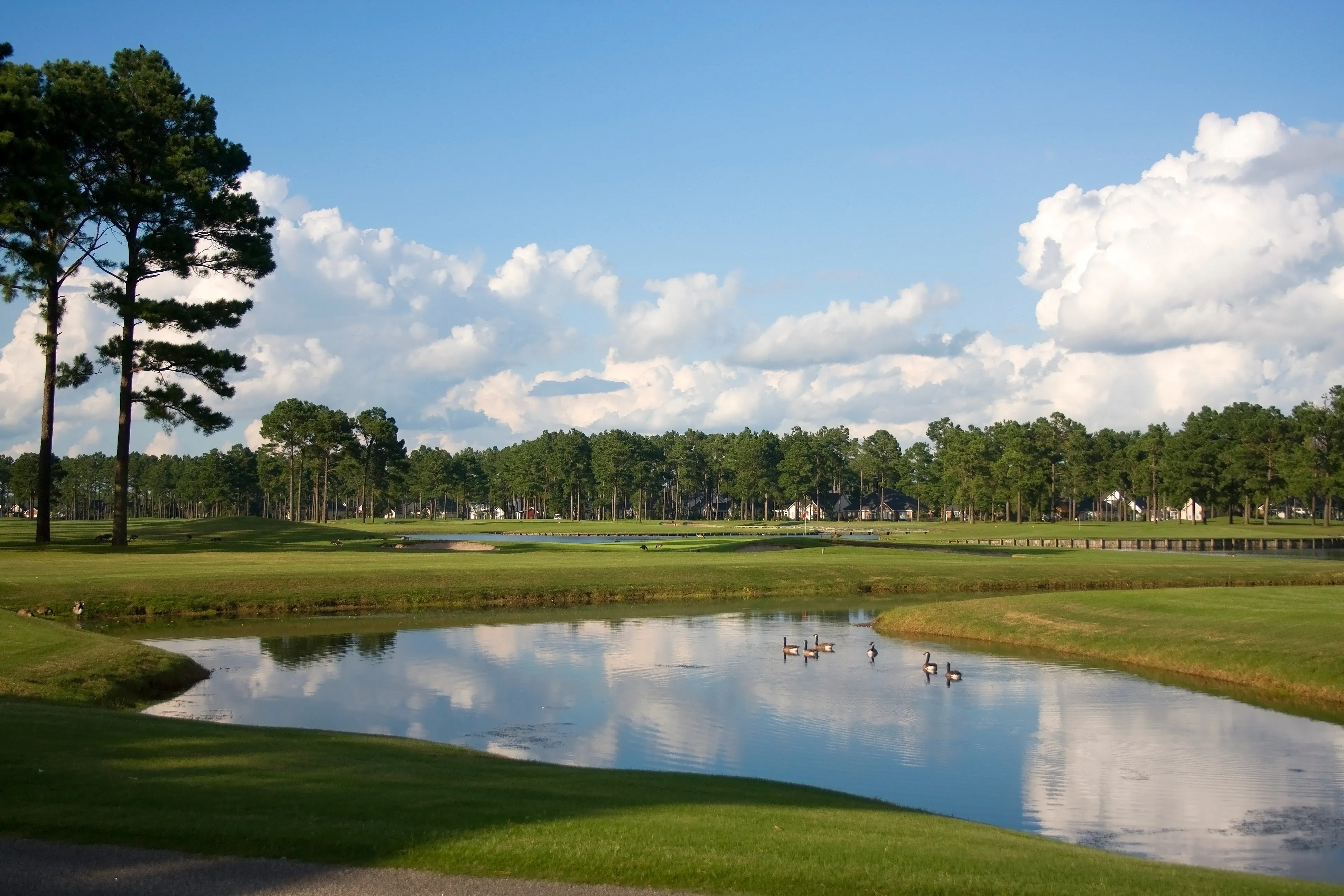 A pond-lined golf hole at sunrise