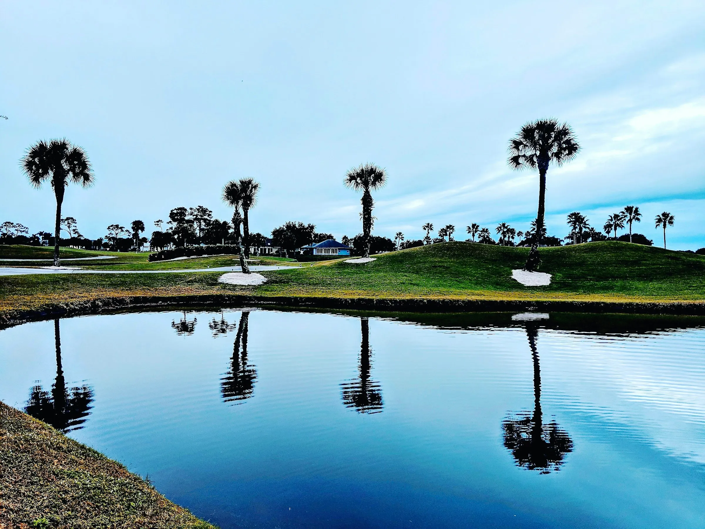 Palms reflected in a golf course lake on the Georgia coast