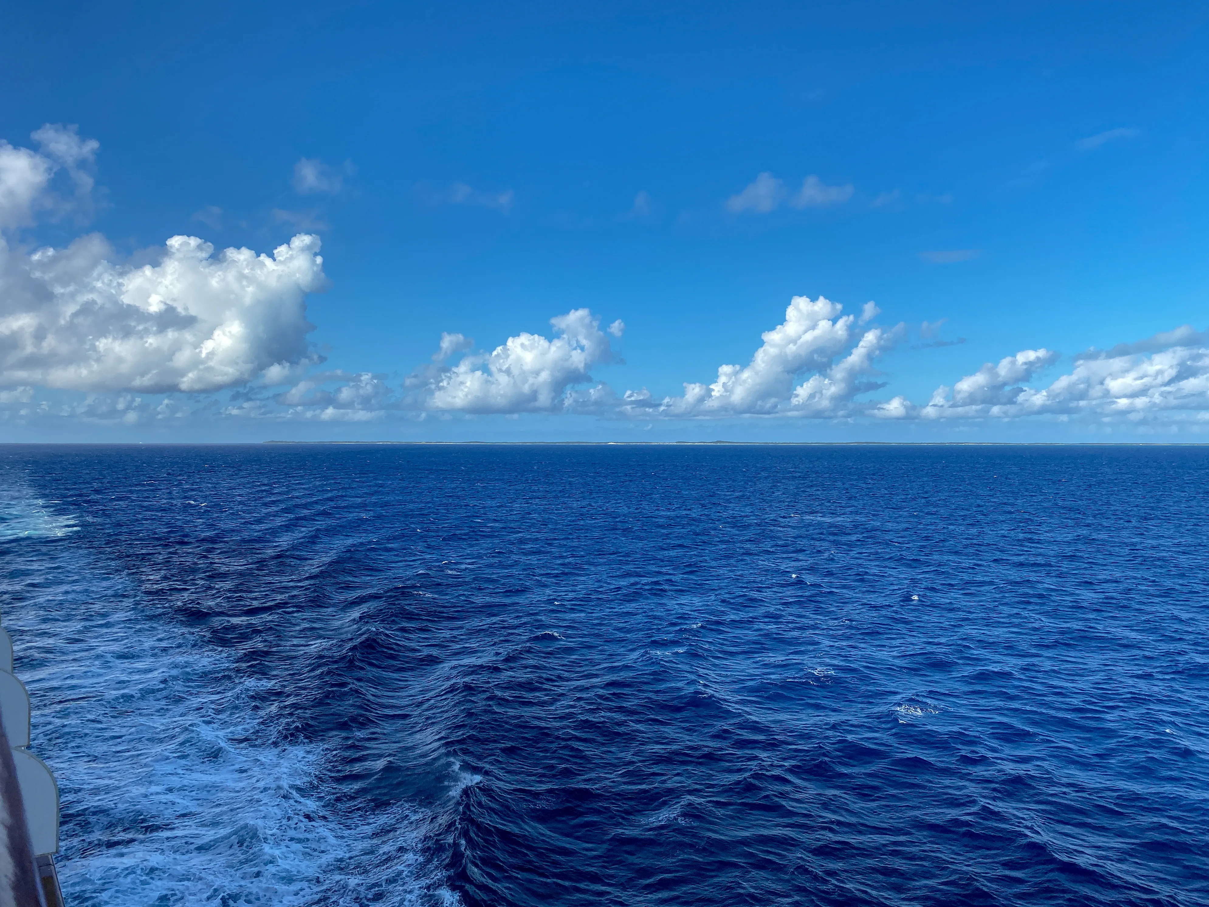 Holland America's Zuiderdam sailing away from port