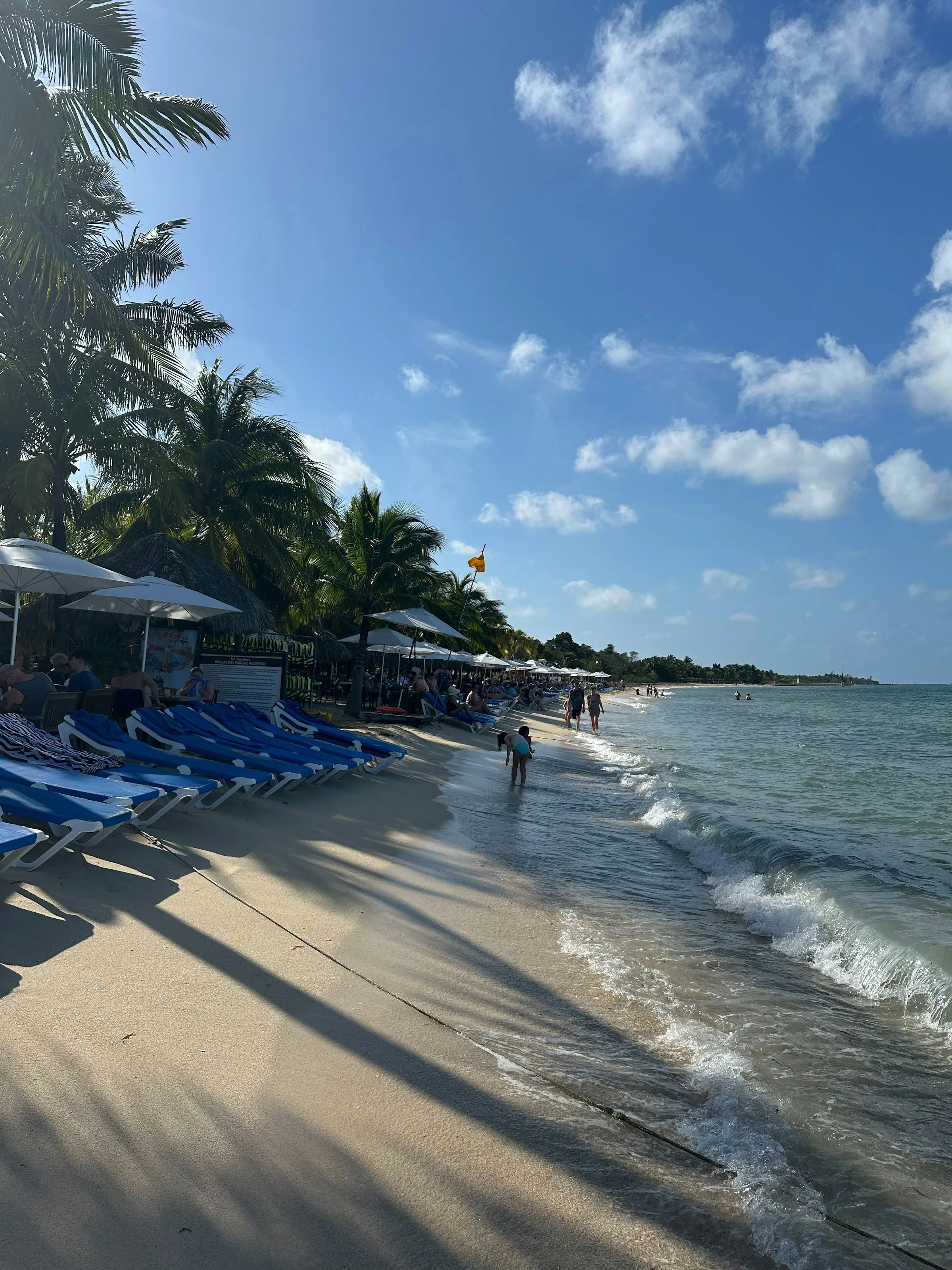 Lounge chairs and palms on a Cozumel beach club