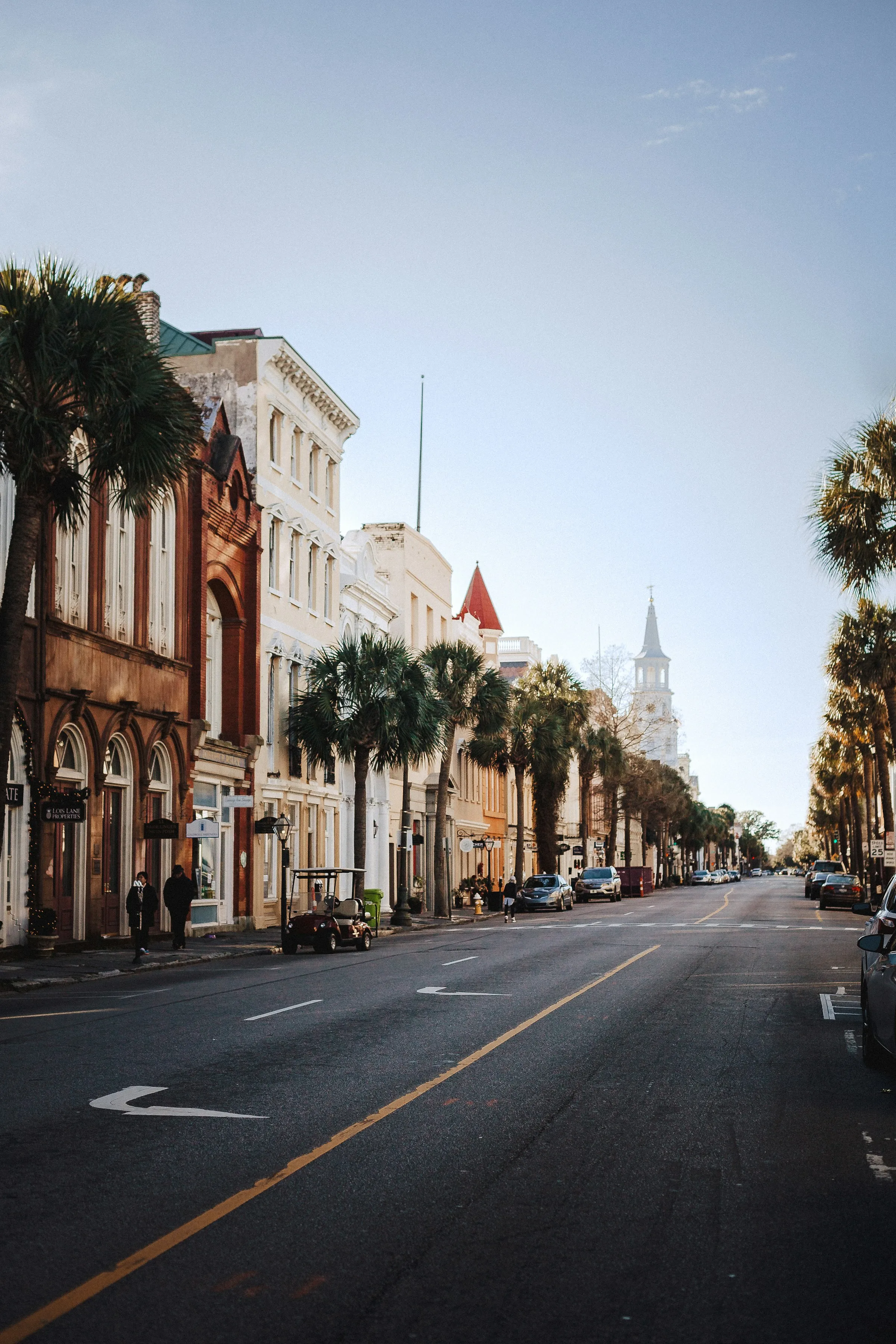 Palm-lined historic street with a church steeple in Charleston