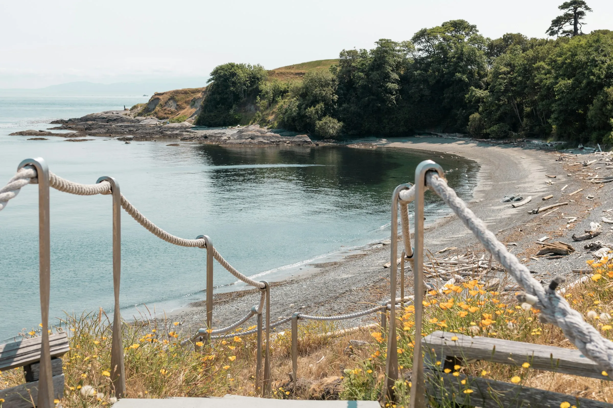 A quiet cove and trail in the San Juan Islands